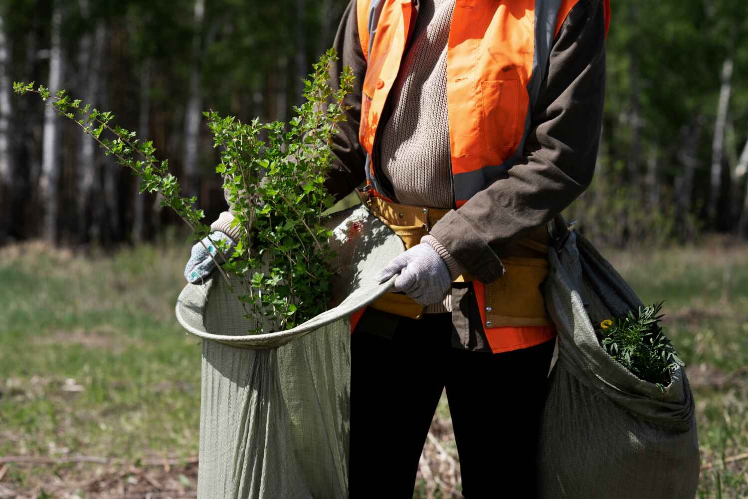 Reliable Buford, GA Tree Service Solutions